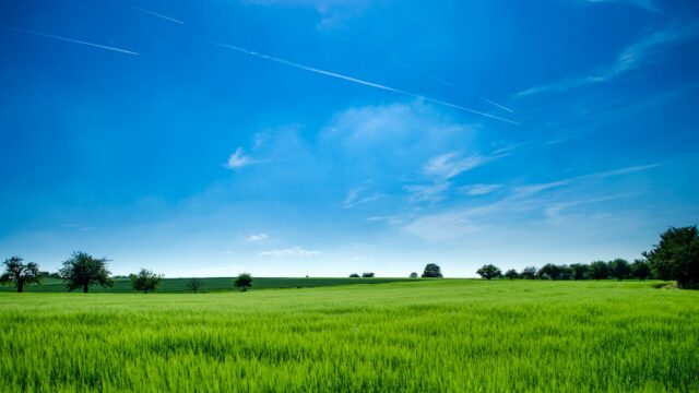 panoramic photography of green field