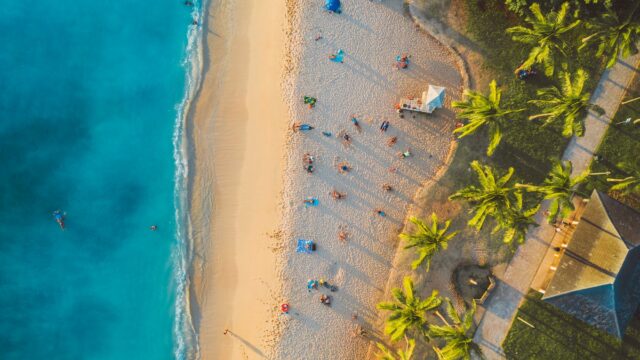 birds eye view of people on tropical beach
