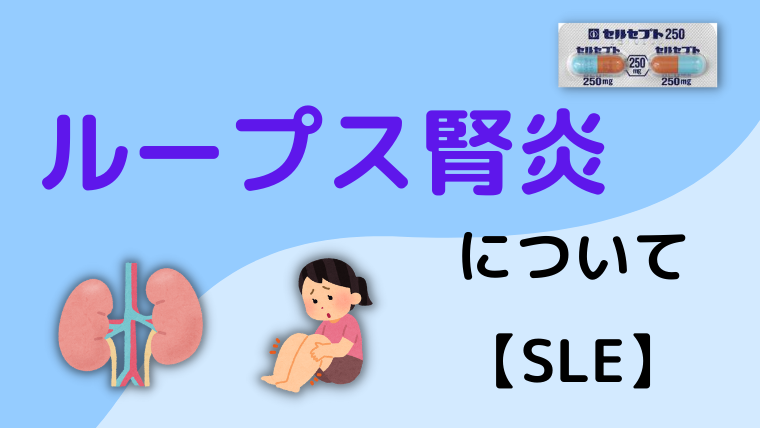 ループス腎炎について【SLE】 - Life 