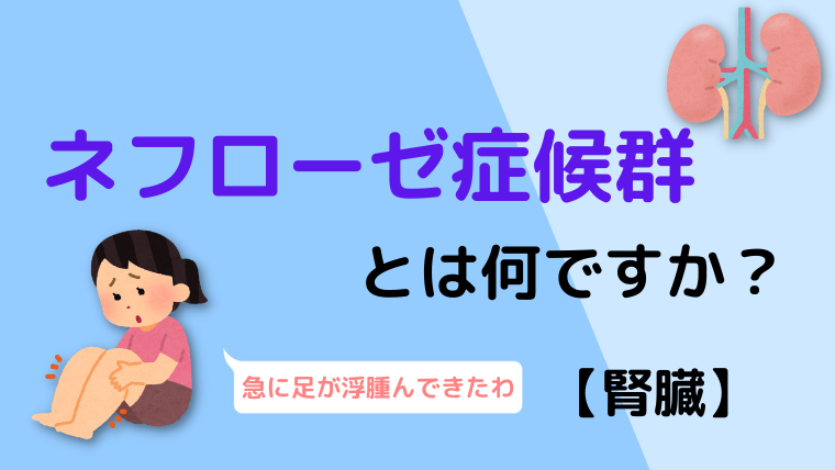 ネフローゼ症候群とは何ですか？【腎臓】 - Life