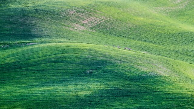 green mountain painting